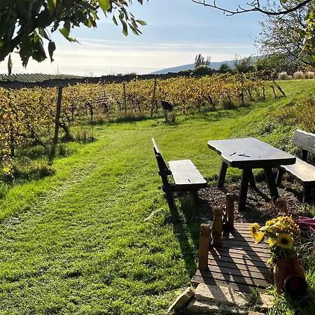 Schlaffass - Schlafen Im Holzfass Thallern