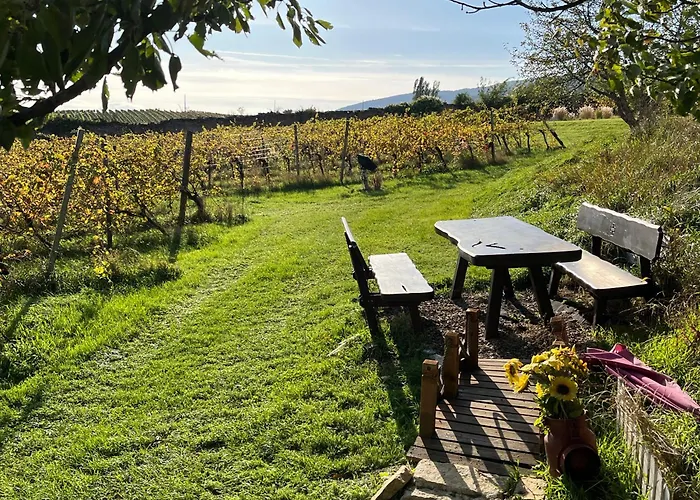 Schlaffass - Schlafen Im Holzfass Thallern